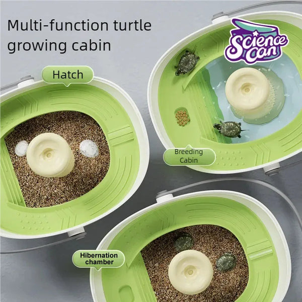 Turtle eggs can hatch and grow into a living organism. Climbing platform, sun drying platform, dedicated turtle tank, pet feedin