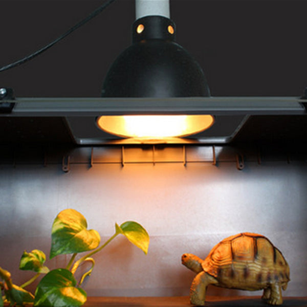Enclosure Lamps at Pam Calhoun blog
