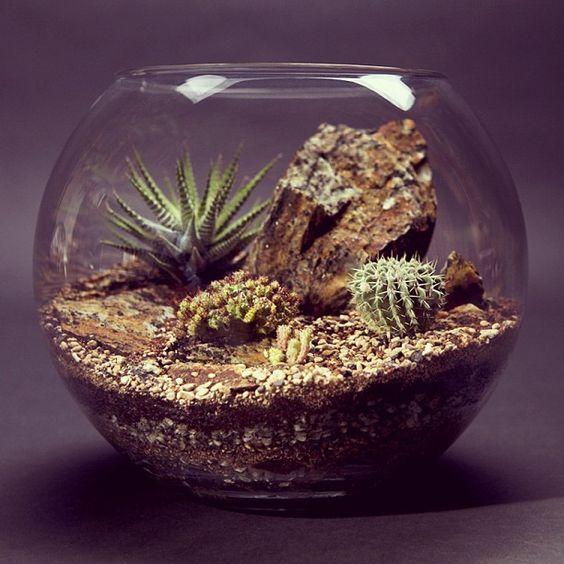 Kathson Large Natural Habitat Decor