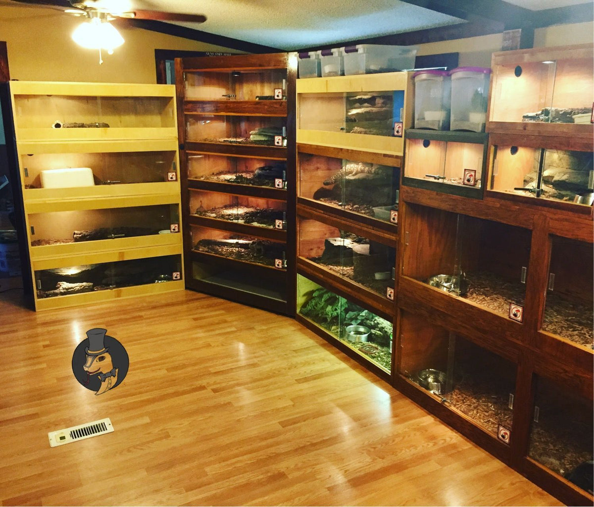 Tortoise Habitat & Care