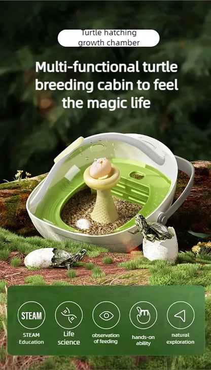 Turtle eggs can hatch and grow into a living organism. Climbing platform, sun drying platform, dedicated turtle tank, pet feedin