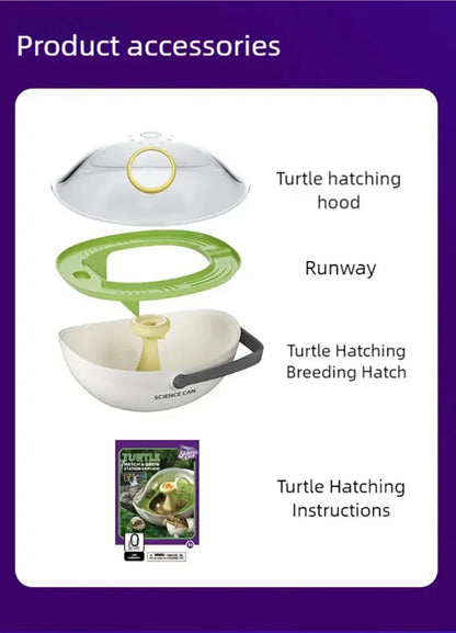 Turtle eggs can hatch and grow into a living organism. Climbing platform, sun drying platform, dedicated turtle tank, pet feedin