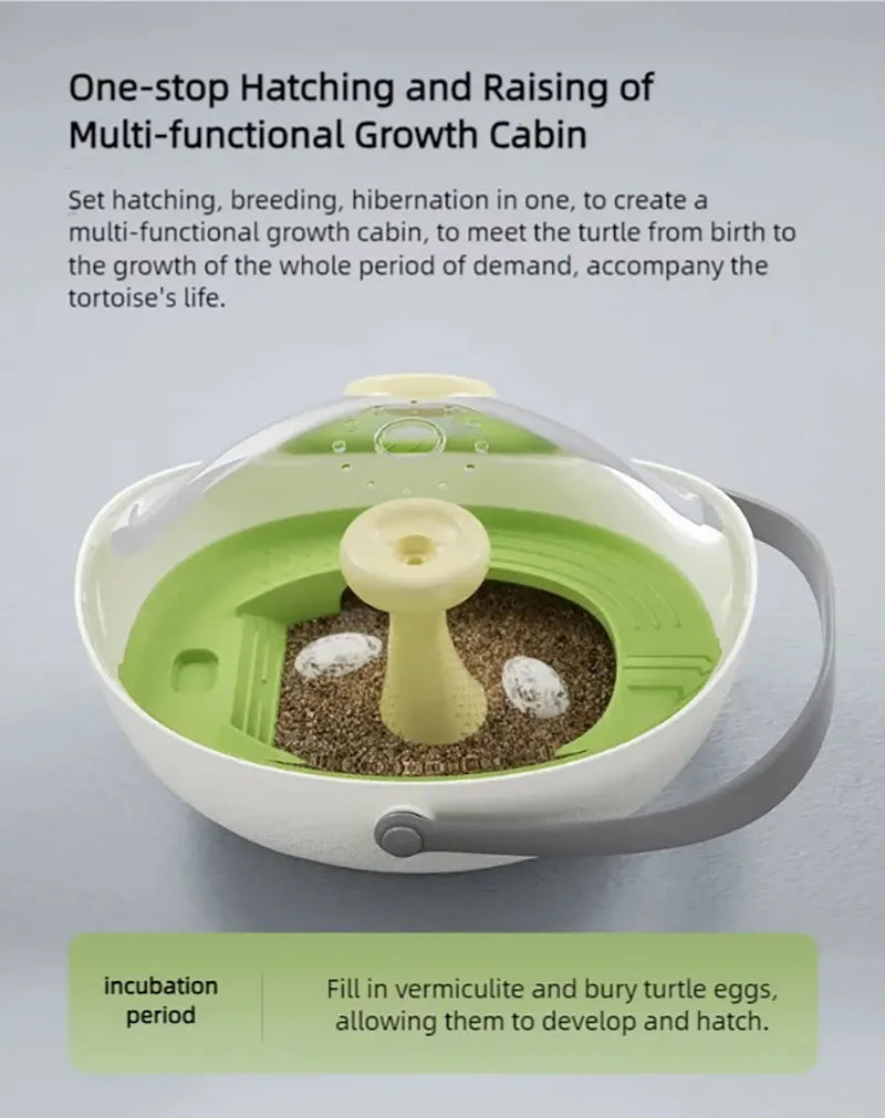 Turtle eggs can hatch and grow into a living organism. Climbing platform, sun drying platform, dedicated turtle tank, pet feedin