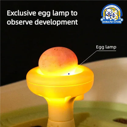 Turtle eggs can hatch and grow into a living organism. Climbing platform, sun drying platform, dedicated turtle tank, pet feedin