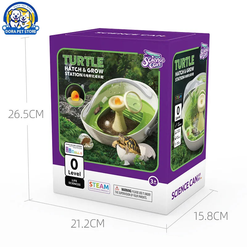 Turtle eggs can hatch and grow into a living organism. Climbing platform, sun drying platform, dedicated turtle tank, pet feedin