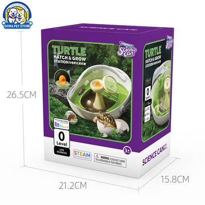 Turtle eggs can hatch and grow into a living organism. Climbing platform, sun drying platform, dedicated turtle tank, pet feedin
