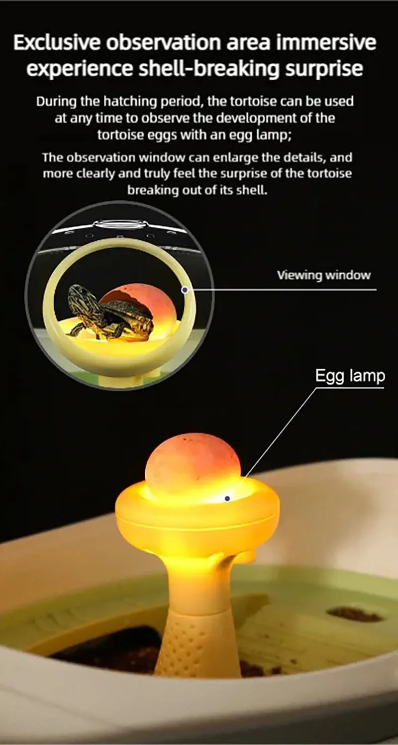 Turtle eggs can hatch and grow into a living organism. Climbing platform, sun drying platform, dedicated turtle tank, pet feedin