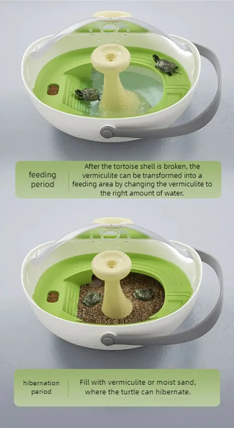 Turtle eggs can hatch and grow into a living organism. Climbing platform, sun drying platform, dedicated turtle tank, pet feedin