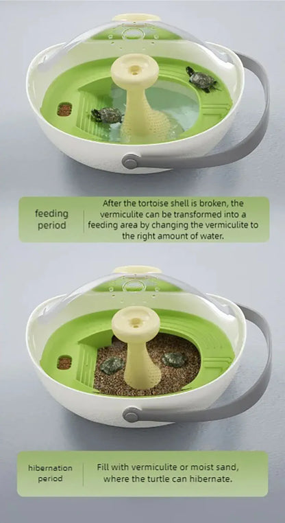 Turtle eggs can hatch and grow into a living organism. Climbing platform, sun drying platform, dedicated turtle tank, pet feedin