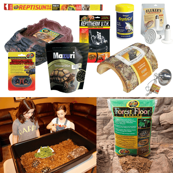 Turtle & Tortoise Calcium Supplement